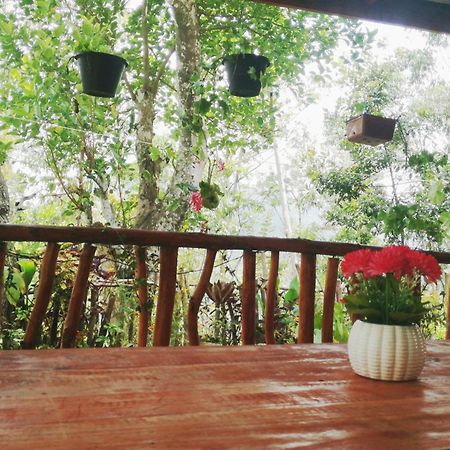 Deneth Homestay إيلا المظهر الخارجي الصورة
