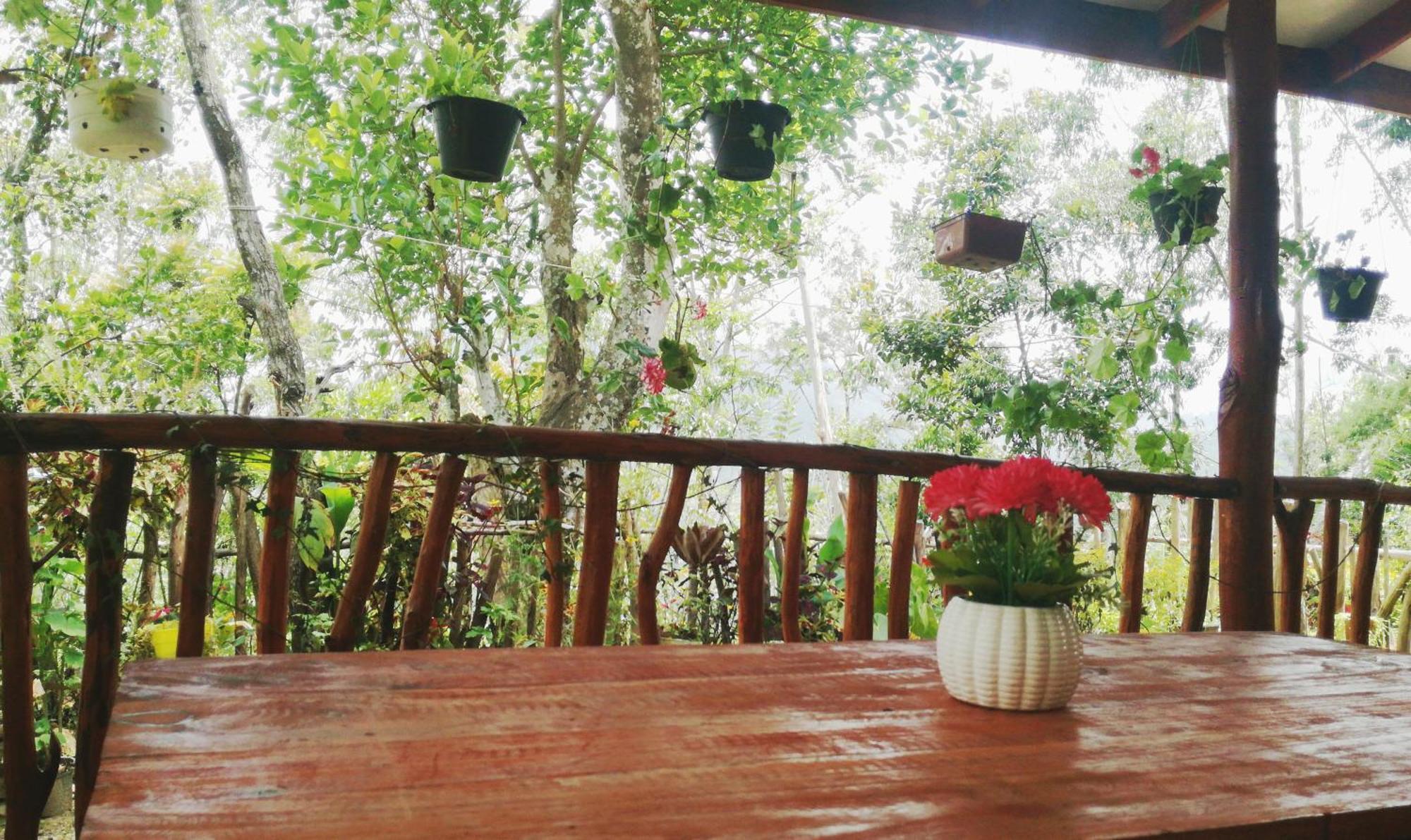 Deneth Homestay إيلا المظهر الخارجي الصورة