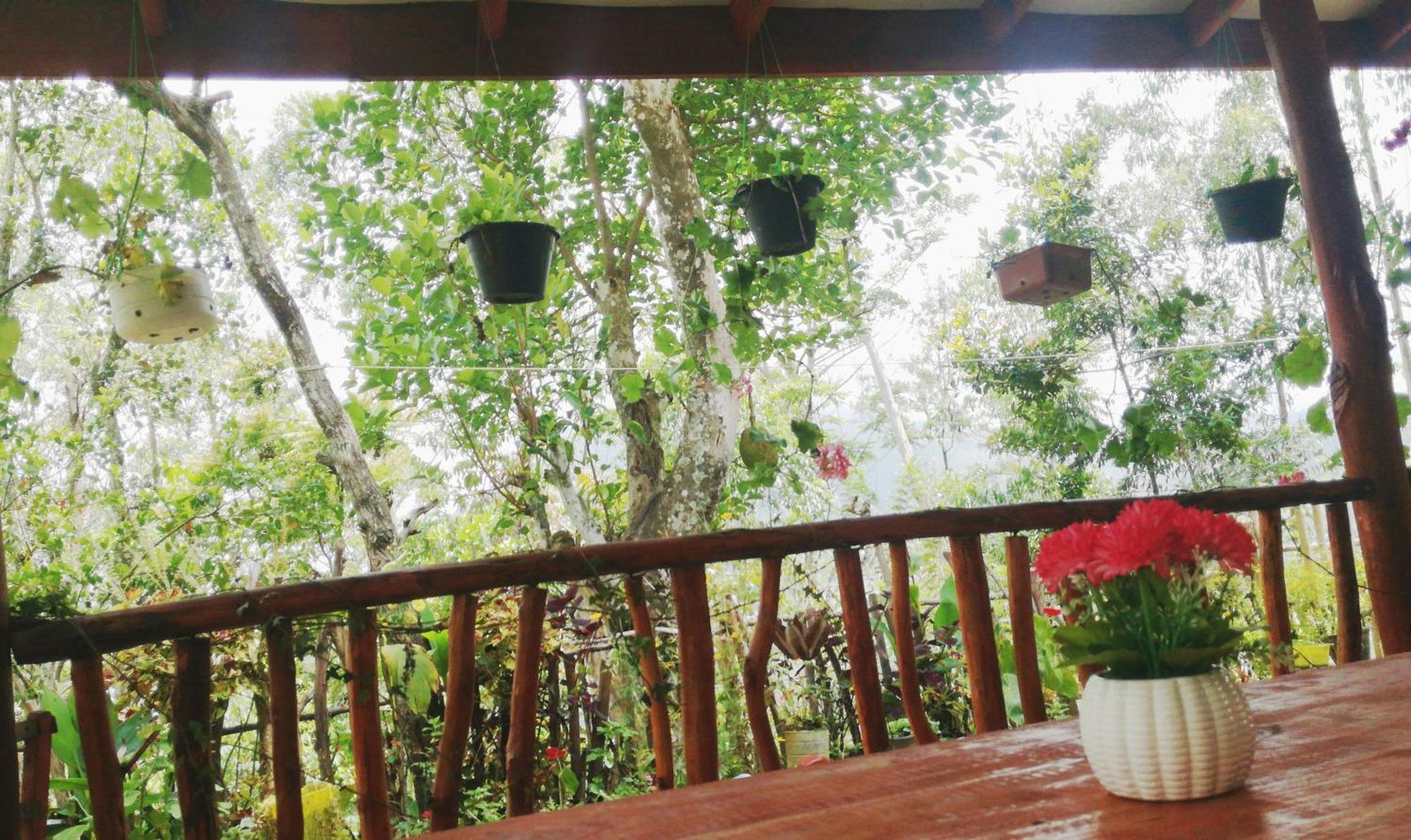 Deneth Homestay إيلا المظهر الخارجي الصورة