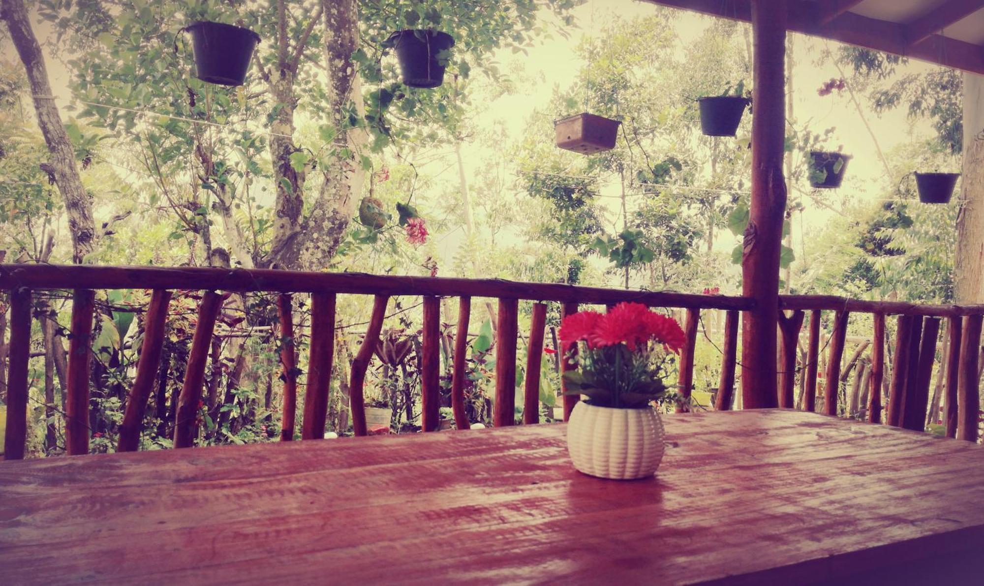 Deneth Homestay إيلا المظهر الخارجي الصورة